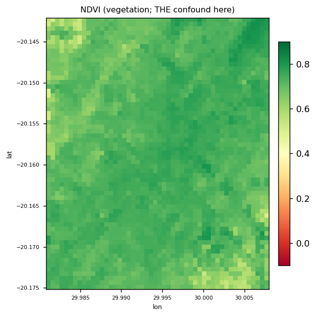 EMIT NDVI over the claim AOI, 2024-02-23. The entire scene is high-NDVI vegetation.