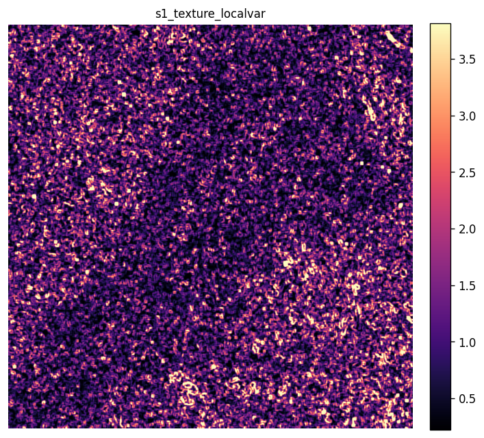 Local variance texture derived from Sentinel-1 VV